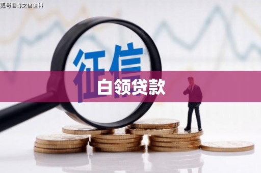 桃城白领贷款