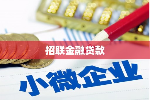 桃城招联金融贷款