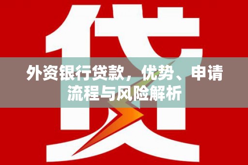 桃城外资银行贷款，优势、申请流程与风险解析