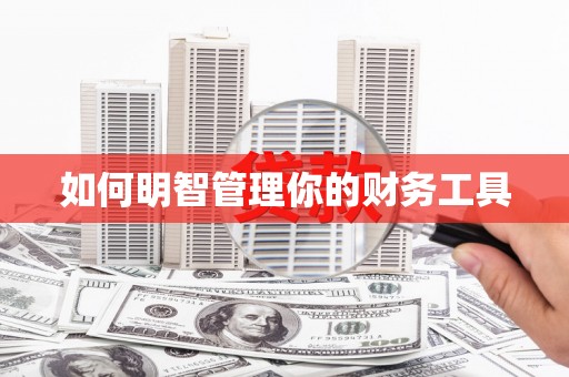 桃城如何明智管理你的财务工具