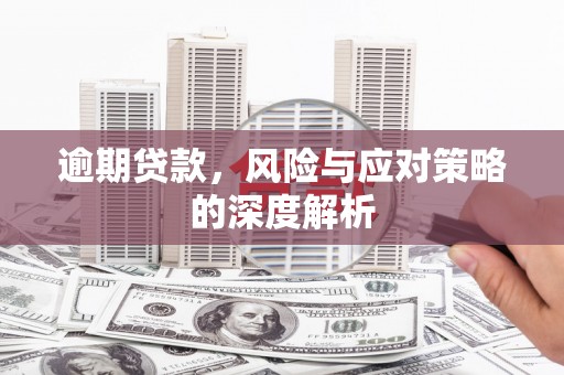 桃城逾期贷款，风险与应对策略的深度解析
