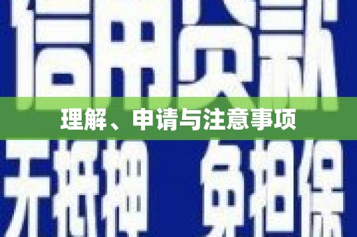 桃城理解、申请与注意事项