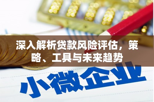 桃城深入解析贷款风险评估，策略、工具与未来趋势