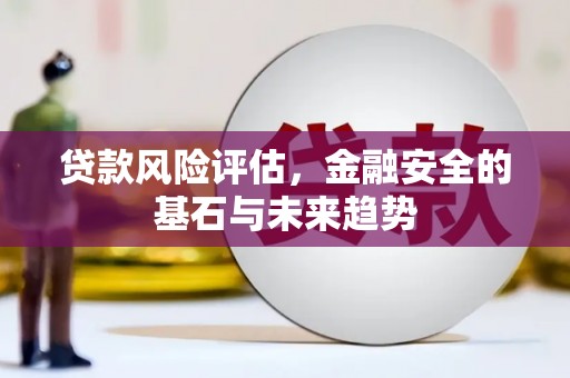 桃城贷款风险评估，金融安全的基石与未来趋势
