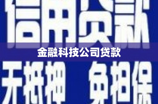 桃城金融科技公司贷款