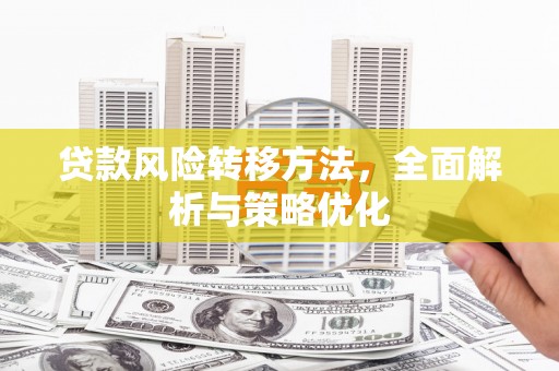 桃城贷款风险转移方法，全面解析与策略优化