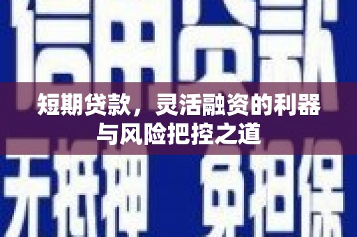 桃城短期贷款，灵活融资的利器与风险把控之道