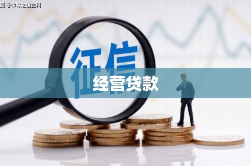 桃城经营贷款