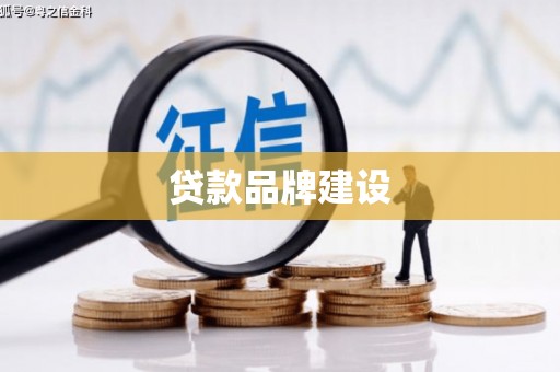 桃城贷款品牌建设