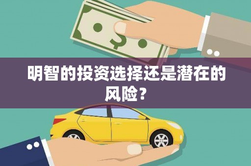 桃城明智的投资选择还是潜在的风险？