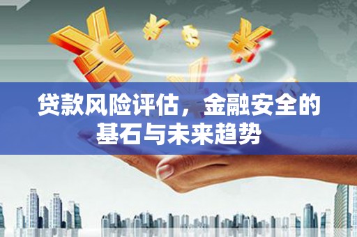 桃城贷款风险评估，金融安全的基石与未来趋势