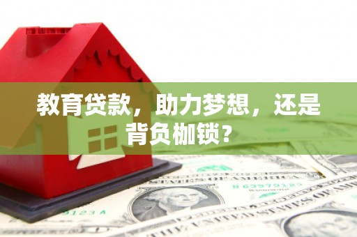 桃城教育贷款，助力梦想，还是背负枷锁？