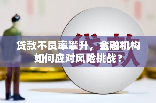 桃城贷款不良率攀升，金融机构如何应对风险挑战？