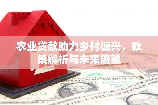 桃城农业贷款助力乡村振兴，政策解析与未来展望