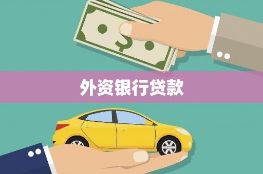 桃城外资银行贷款
