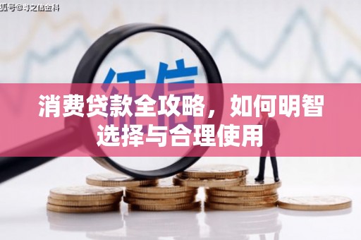 桃城消费贷款全攻略，如何明智选择与合理使用