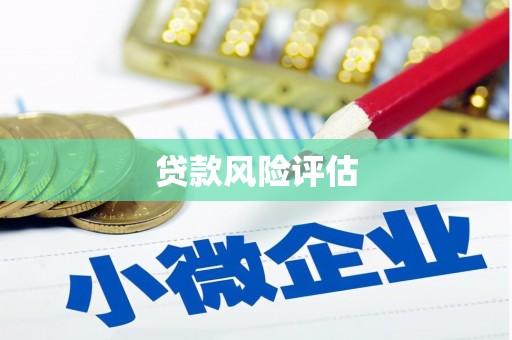 桃城贷款风险评估