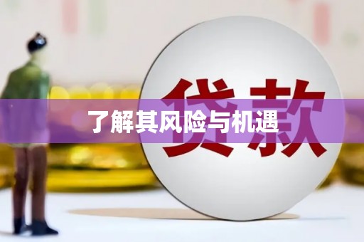 桃城了解其风险与机遇