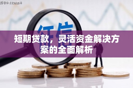 桃城短期贷款，灵活资金解决方案的全面解析