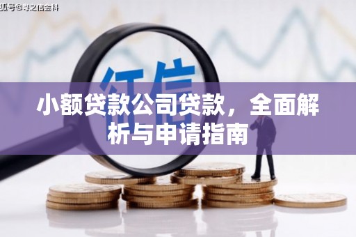 桃城小额贷款公司贷款，全面解析与申请指南