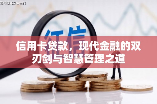 桃城信用卡贷款，现代金融的双刃剑与智慧管理之道