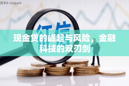 桃城现金贷的崛起与风险，金融科技的双刃剑