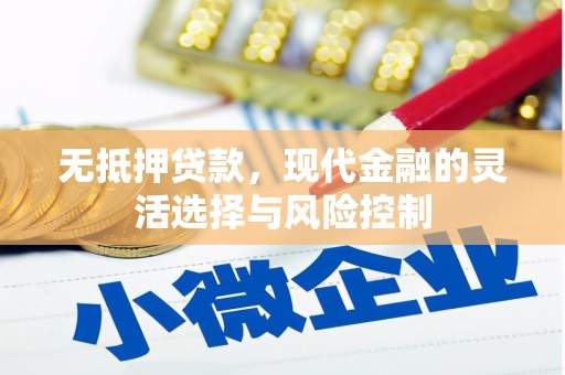 桃城无抵押贷款，现代金融的灵活选择与风险控制
