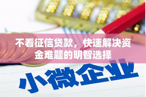 桃城不看征信贷款，快速解决资金难题的明智选择