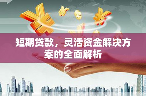 桃城短期贷款，灵活资金解决方案的全面解析