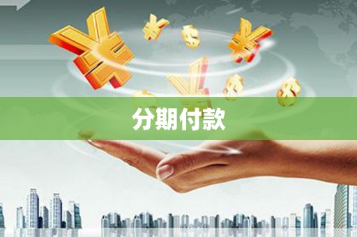 桃城分期付款