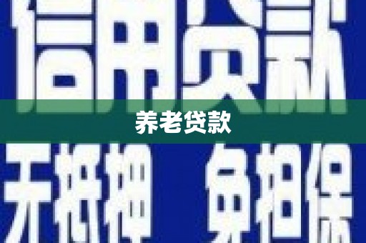 桃城养老贷款