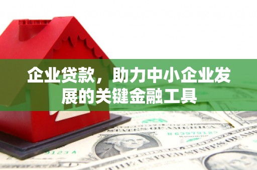 桃城企业贷款，助力中小企业发展的关键金融工具