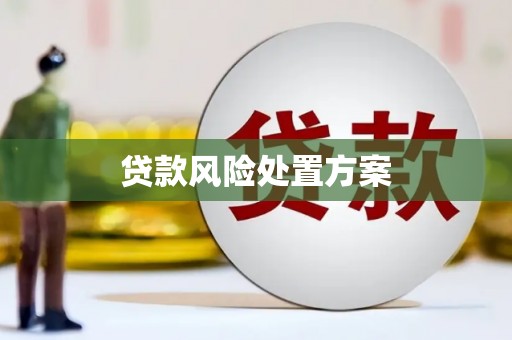 桃城贷款风险处置方案