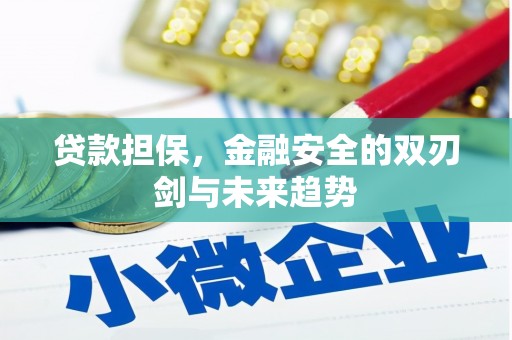 桃城贷款担保，金融安全的双刃剑与未来趋势