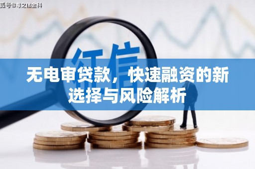 桃城无电审贷款，快速融资的新选择与风险解析