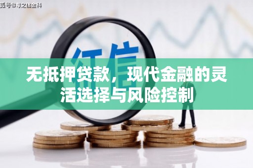 桃城无抵押贷款，现代金融的灵活选择与风险控制