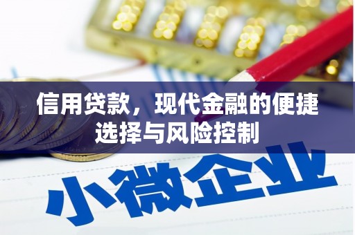 桃城信用贷款，现代金融的便捷选择与风险控制