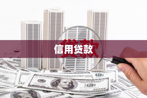桃城信用贷款