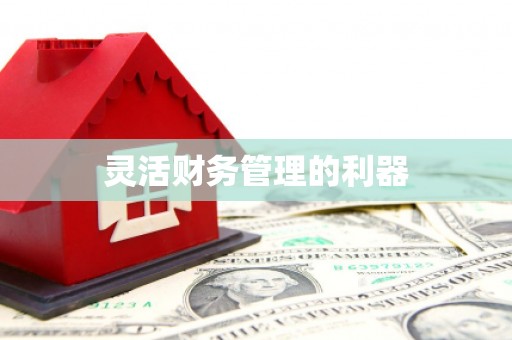桃城灵活财务管理的利器