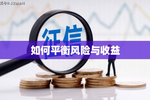 桃城如何平衡风险与收益