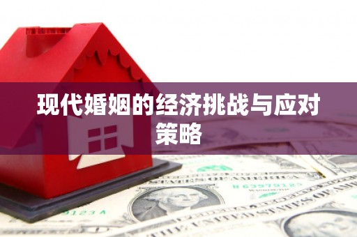 桃城现代婚姻的经济挑战与应对策略