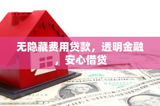 桃城无隐藏费用贷款，透明金融，安心借贷