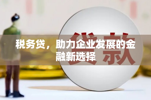 桃城税务贷，助力企业发展的金融新选择