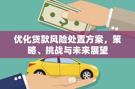 桃城优化贷款风险处置方案，策略、挑战与未来展望