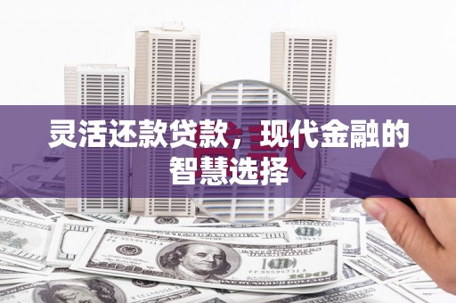 桃城灵活还款贷款，现代金融的智慧选择