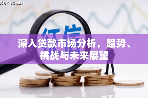 桃城深入贷款市场分析，趋势、挑战与未来展望