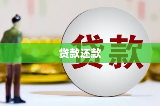 桃城贷款还款