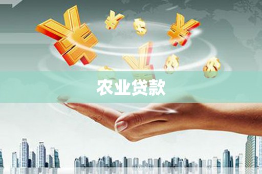 桃城农业贷款