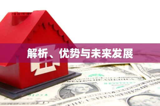 桃城解析、优势与未来发展