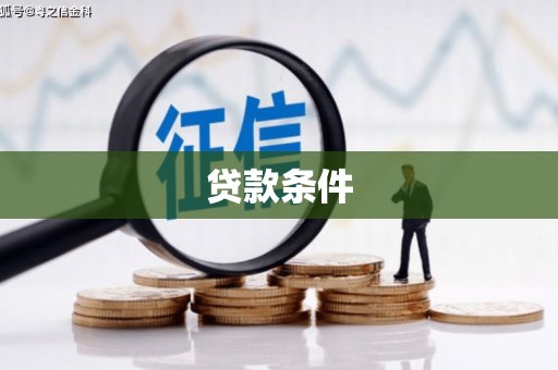 桃城贷款条件